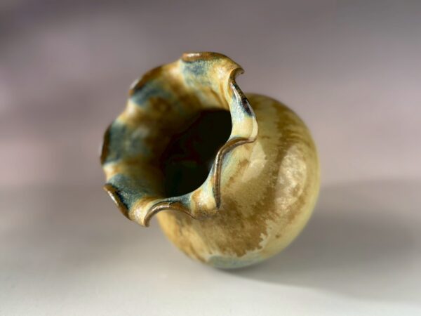 LINE_ALBUM_2026117_260117_255