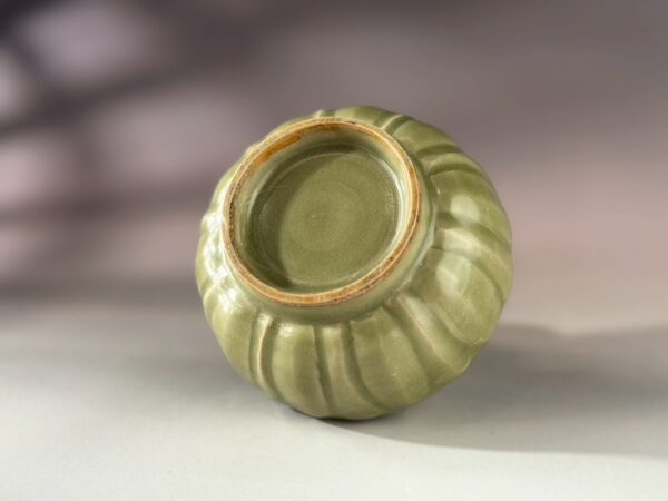 LINE_ALBUM_2026117_260117_258