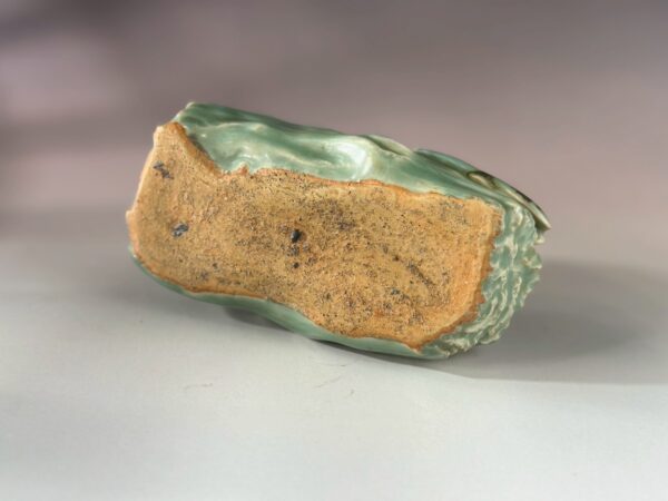 LINE_ALBUM_2026117_260117_269