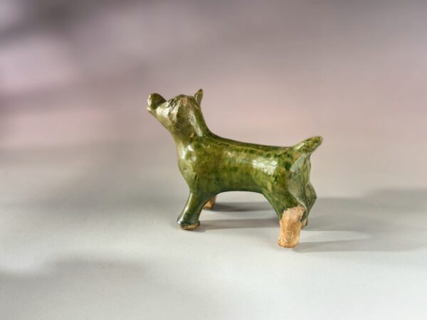 LINE_ALBUM_2026117_260117_277