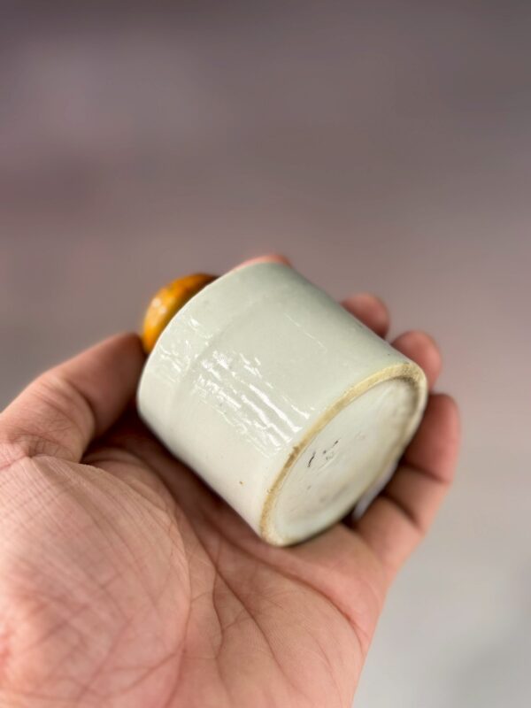 LINE_ALBUM_2026117_260117_311