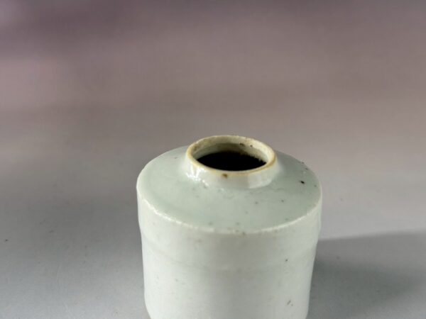 LINE_ALBUM_2026117_260117_313