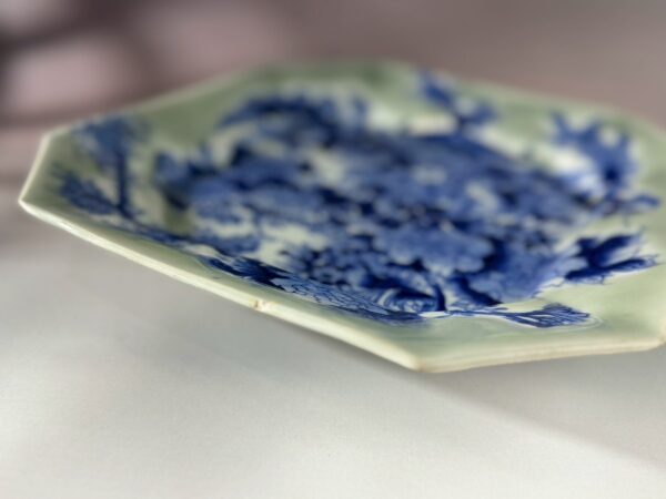 LINE_ALBUM_2026117_260117_334