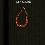 LINE_ALBUM_2026117_260117_68