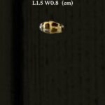 LINE_ALBUM_2026117_260117_71