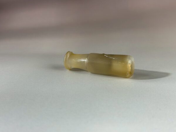 LINE_ALBUM_2026117_260117_84