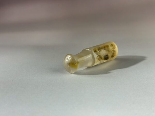 LINE_ALBUM_2026117_260117_86