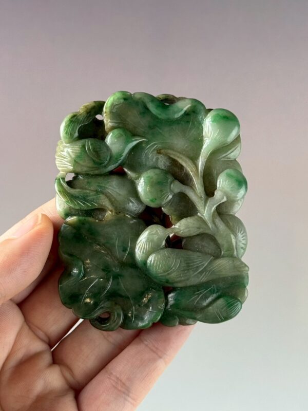 LINE_ALBUM_2026117_260117_96