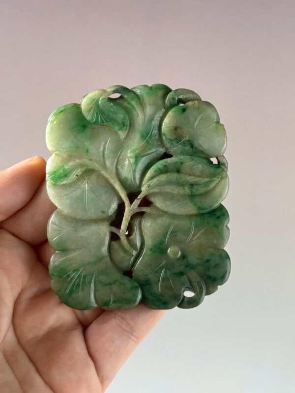 LINE_ALBUM_2026117_260117_97