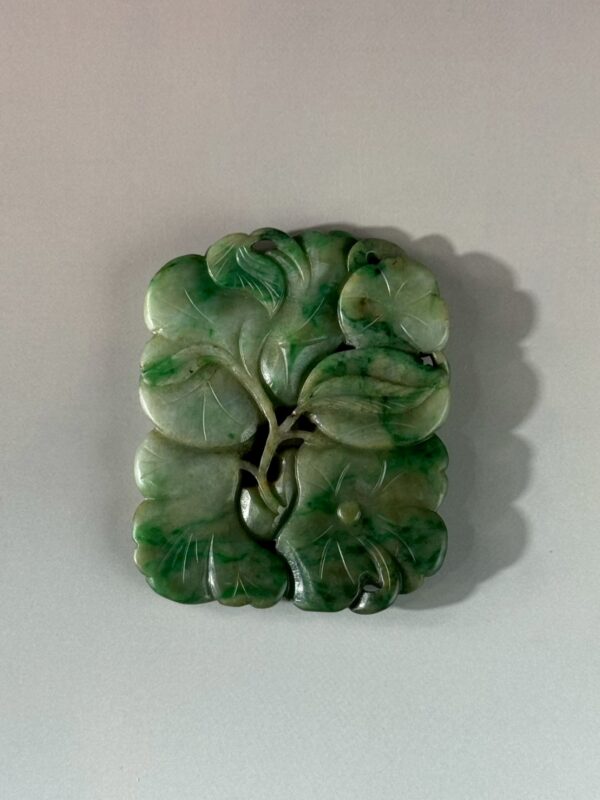 LINE_ALBUM_2026117_260117_99