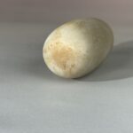 S__5267493_0