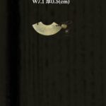S__5284018_0