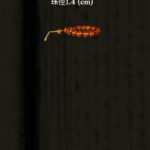 S__5284217_0