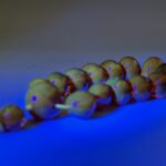 S__5284220_0