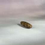 S__5759204_0