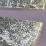 S__4309124_0