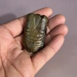 S__6176809_0