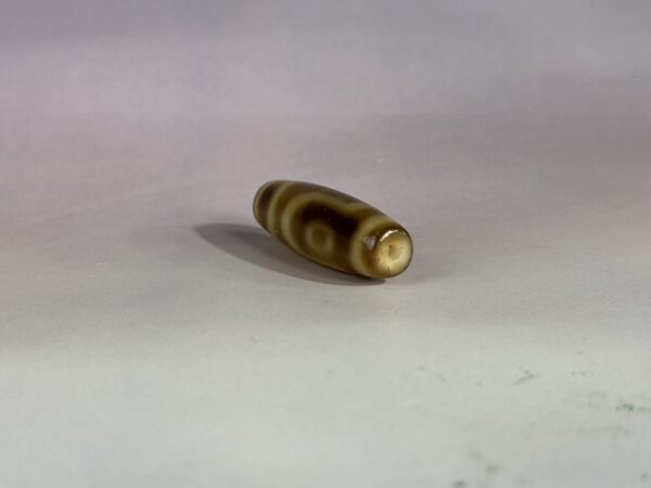 S__6184967_0