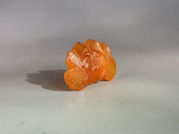 S__6185002_0