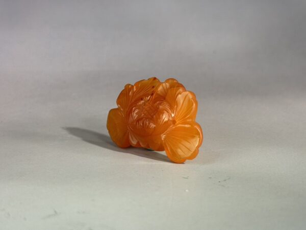 S__6185003_0