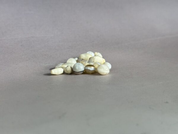 S__4505639_0