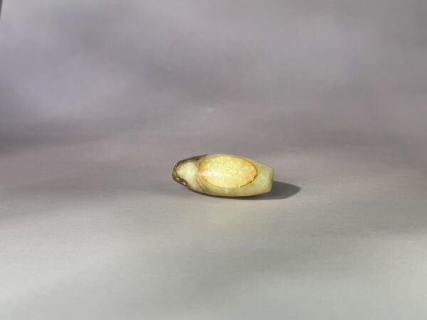 S__5308584_0