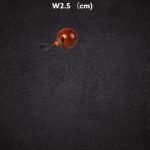S__6881331_0