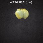 S__7045339_0