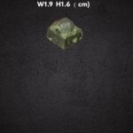 S__7053453_0